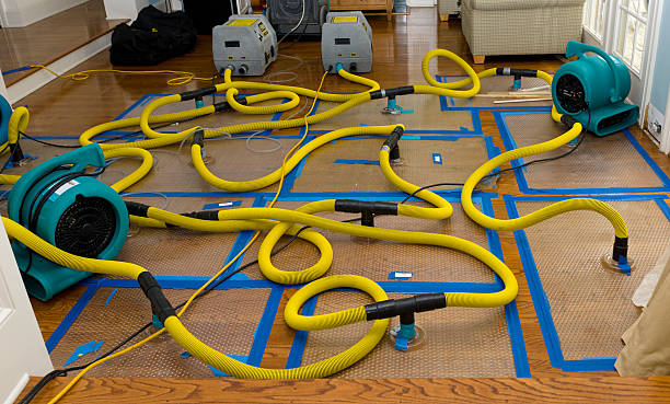 Professional Water Damage Repair technician working in Woodlake, VA